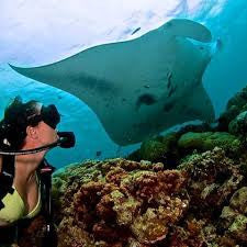 Truli Wetsuits on GirlsThatScuba.com