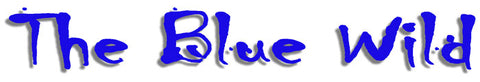 The Blue Wild ocean lovers exhibition in Ft.Lauderdale, Florida USA